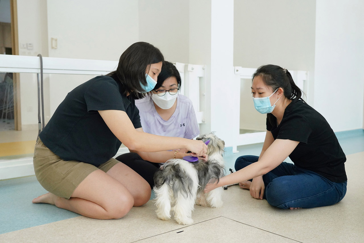 Kristina, our head trainer, demonstrating grooming handling in a group class.