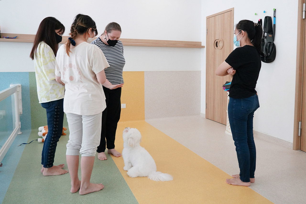 Our trainer, Izzy, demonstrating Stay in a group class.