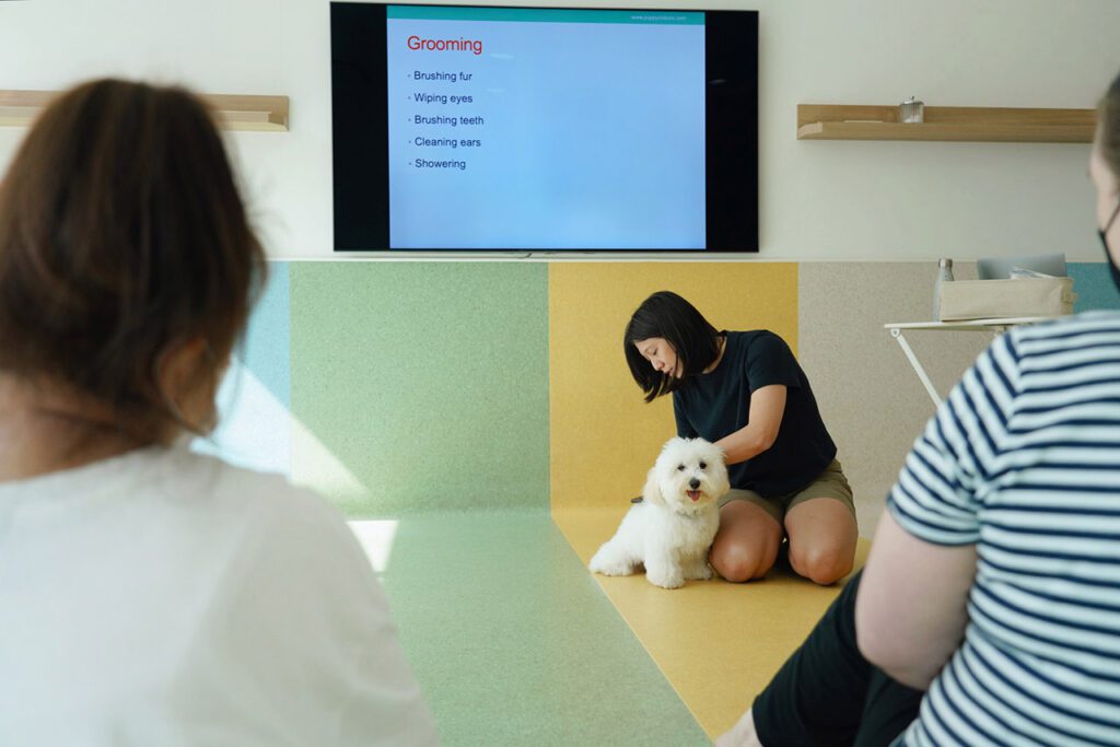 Kristina, our head trainer, demonstrating grooming handling in a group class.