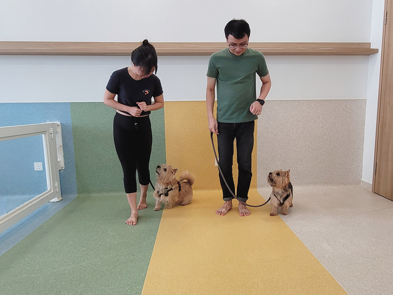 Our trainers demonstrating loose leash walking indoors.