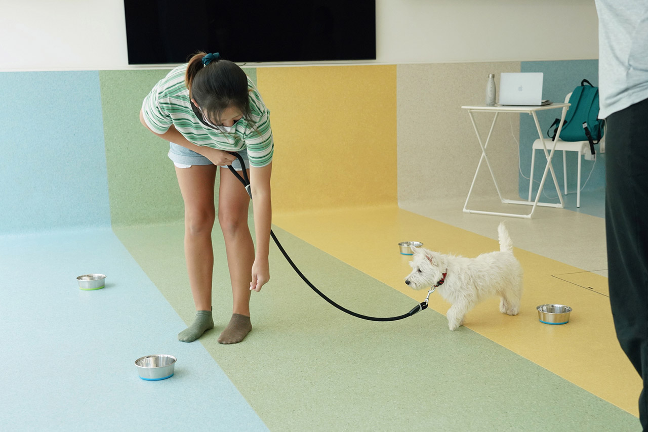 A client practicing polite walking with a puppy on leash indoor during a group class.