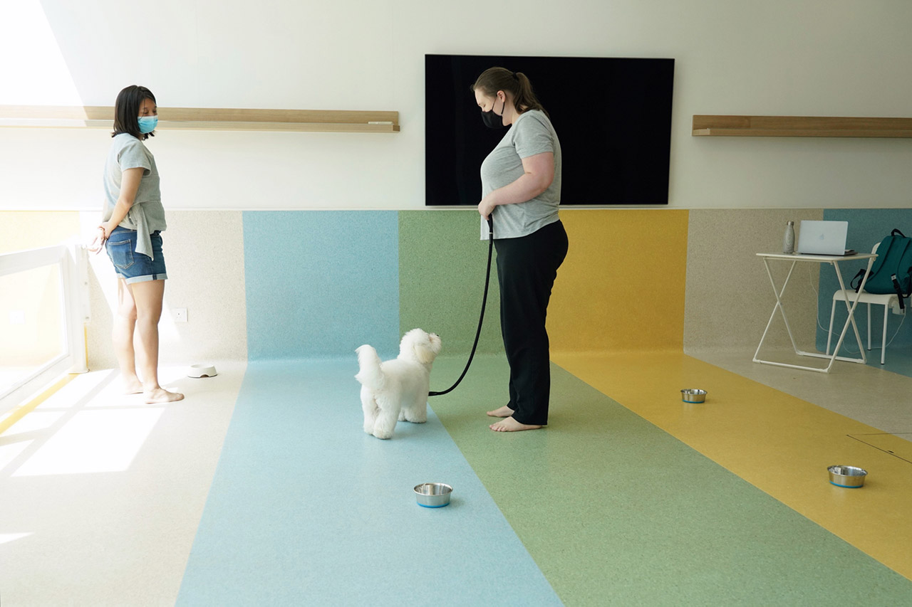 Kristina and Izzy demonstrating loose leash walking in a group class.