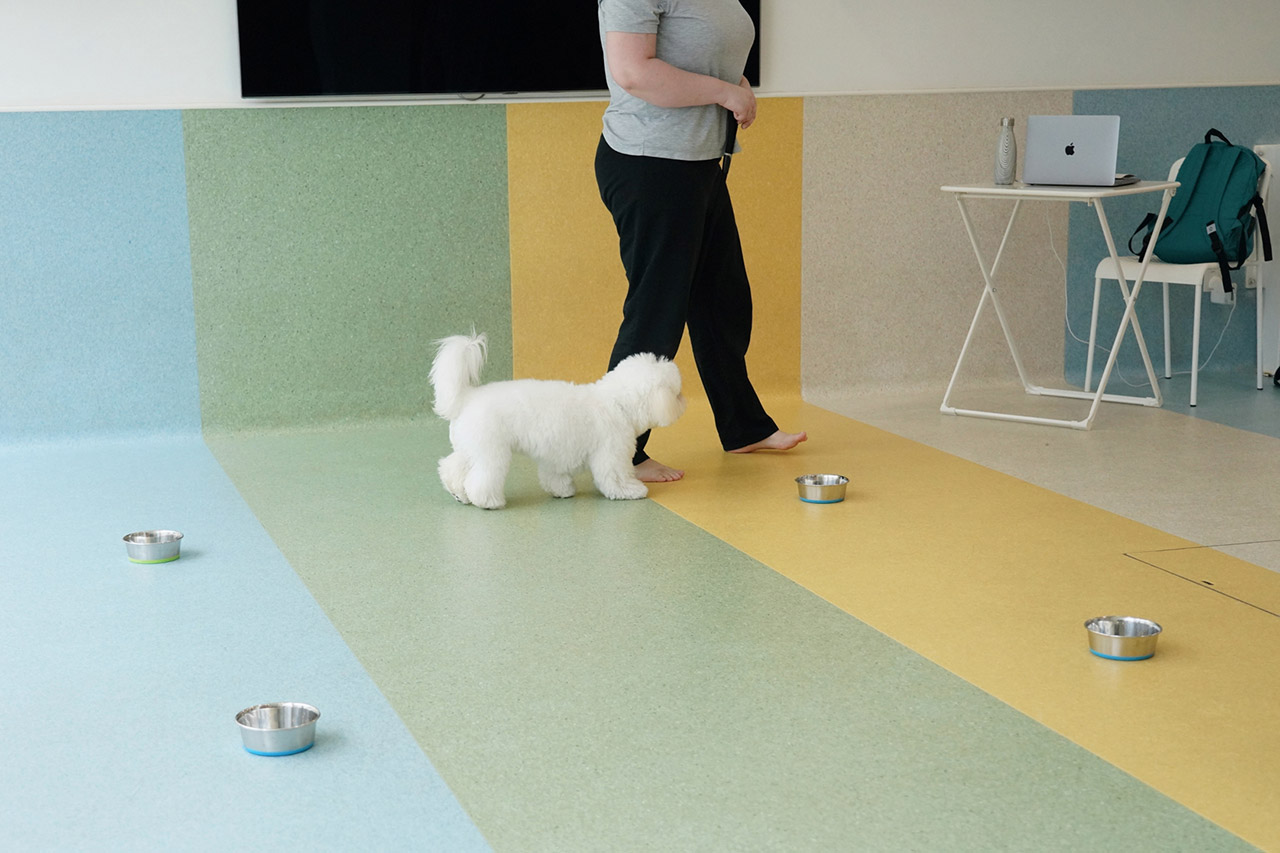 Our trainer showing an example of loose leash walking with some distractions set up for our private class.