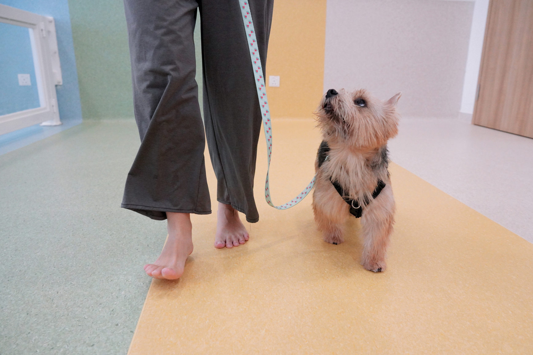 SNOW_20220622_003245_886