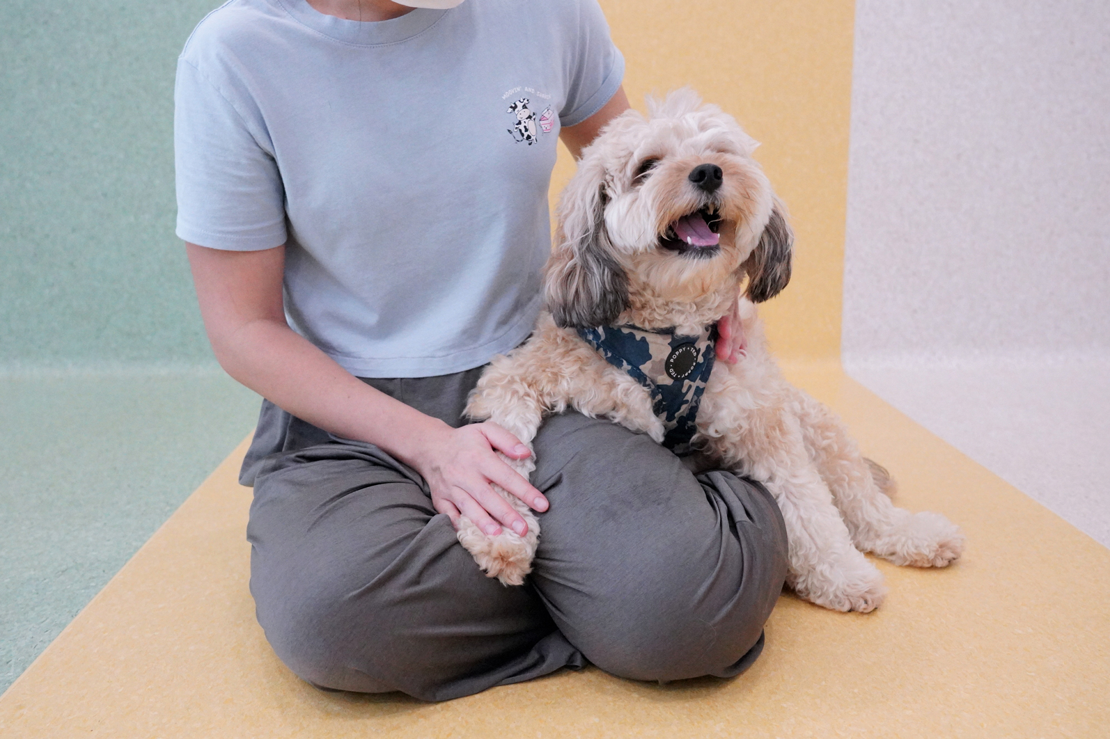 SNOW_20220622_003702_140