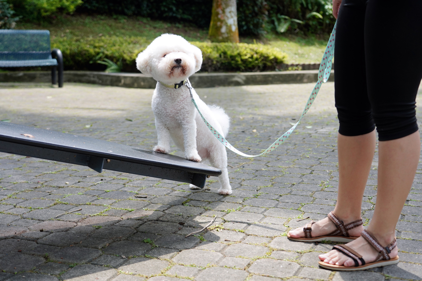 SNOW_20220625_180303_268