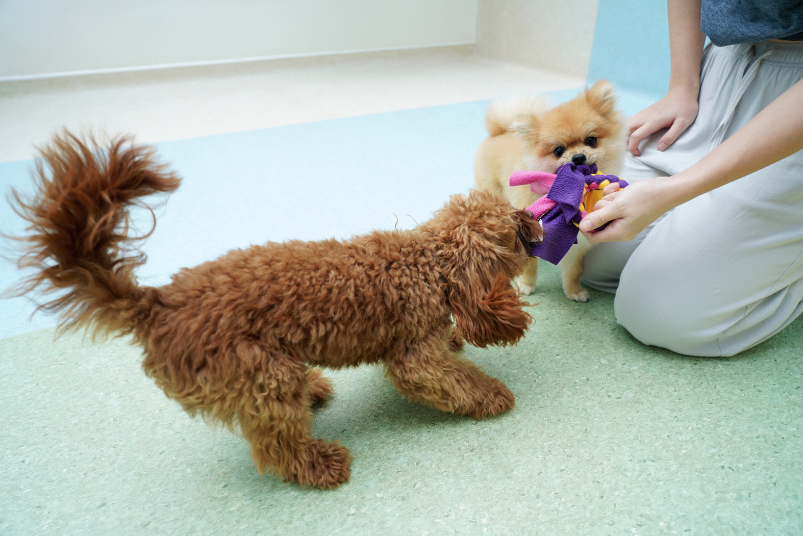 SNOW_20220625_185437_576